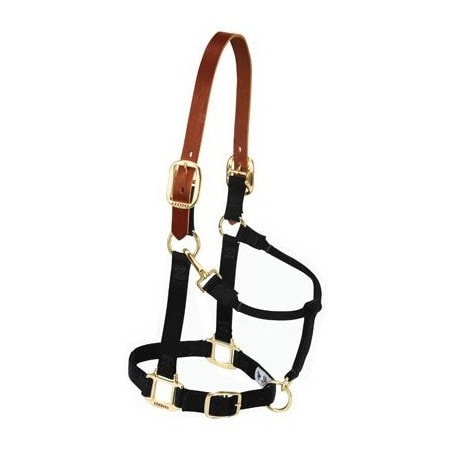 Weaver Leather 1 LG BLK Break Halter 35-6026-BK